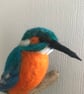 Kingfisher needle felted bird ornament  - Image 5