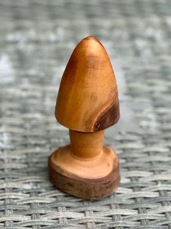 turned laurel mushroom
