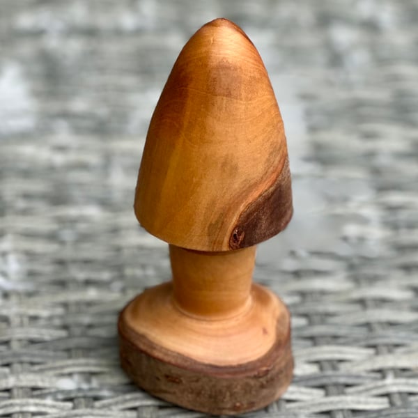 turned laurel mushroom