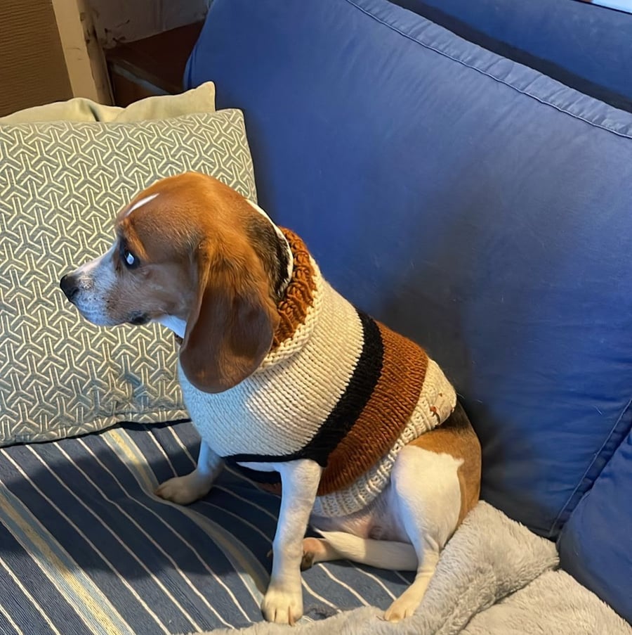 Dog Jumper, knitted in soft warm wool. Warm dog coat