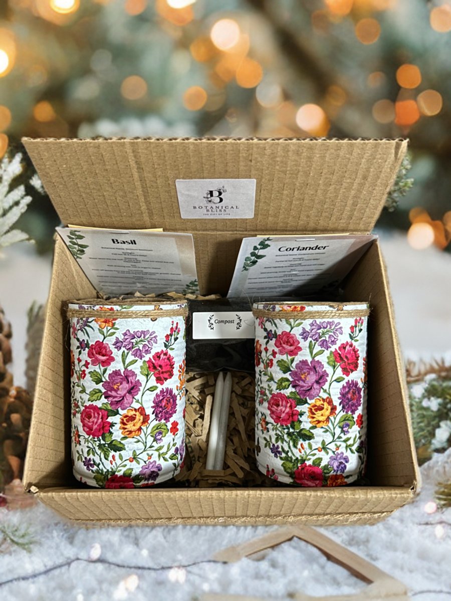 Vibrant Countryside Handmade Recycled Eco-Friendly Indoor Kitchen Herb Gift Set