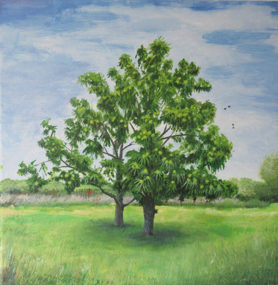 Landscape, Sweet Chestnut Tree, Burnham on sea, Premium print