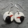 Handmade Ceramic and sterling silver Chough drop earrings