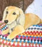 Pet portraits to order - Image 7