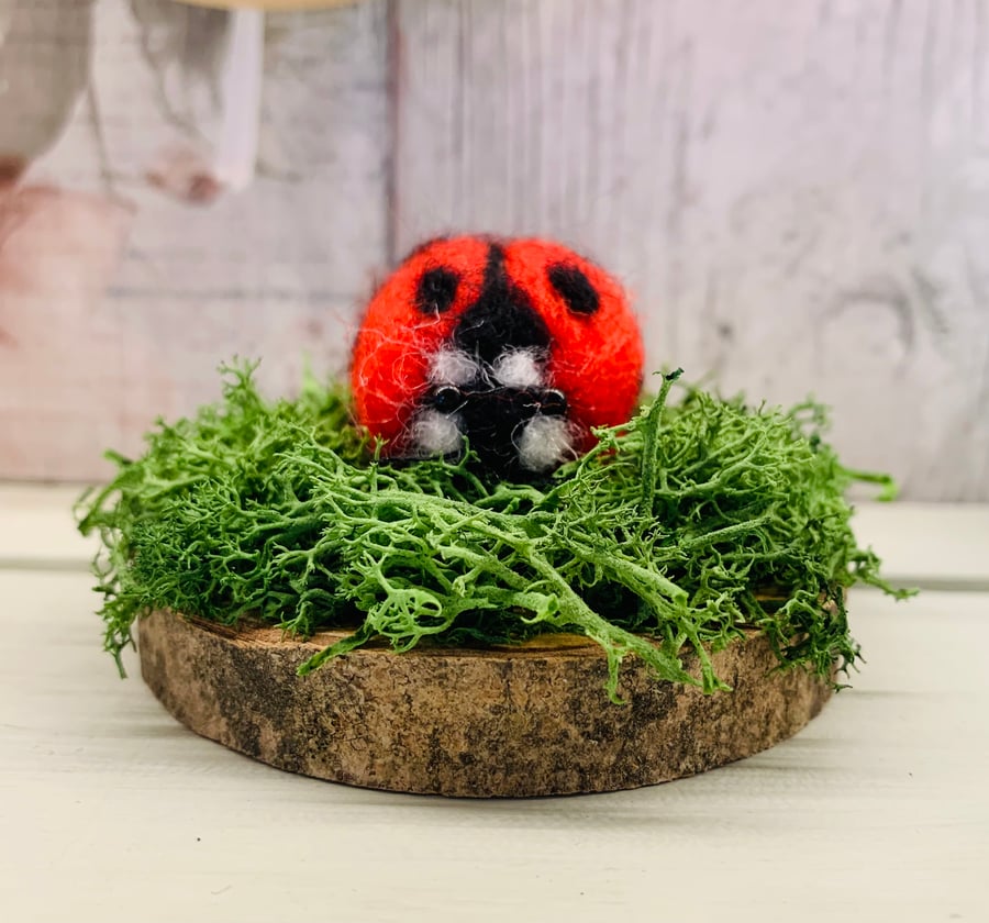 Needle felted ladybird