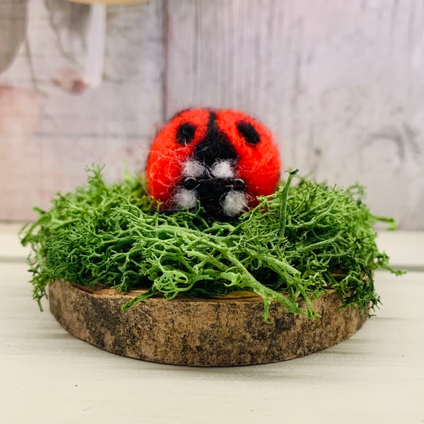 Needle felted ladybird