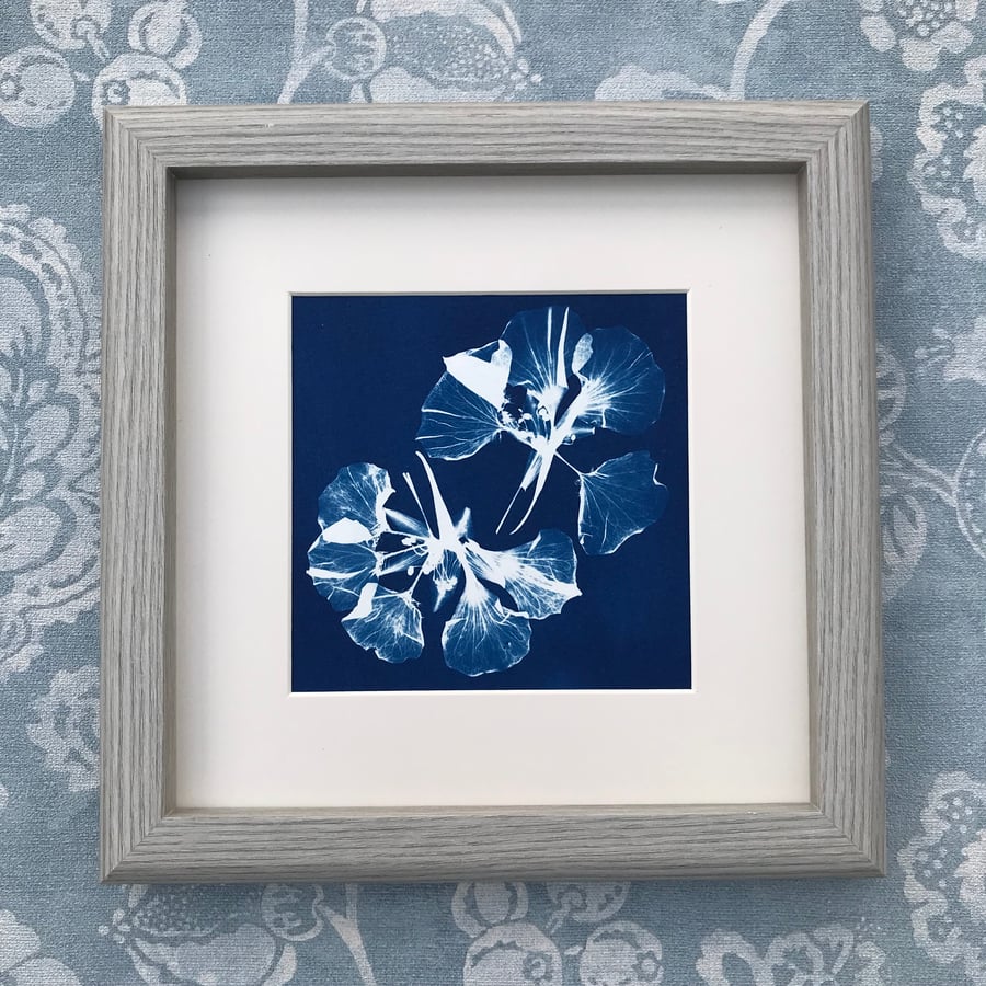 Framed Botanical art, Wildflower gift, Original Art