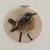 Song thrush needle felted bird picture 