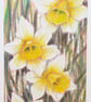 Yellow and white daffodils original drawing, small floral artwork, art - Image 6