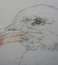 Herring Gull (seagull) Hand Embroidered Art - Image 2