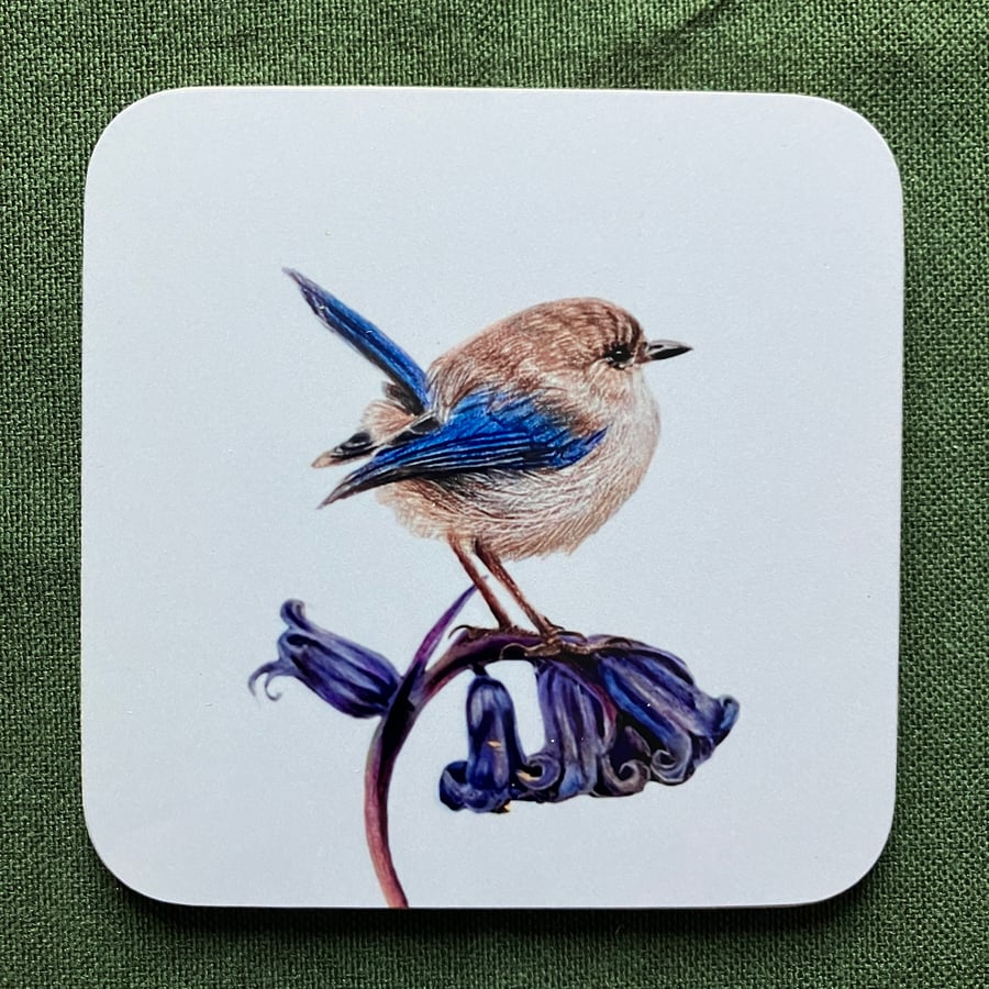 Fairy Wren and Bluebell