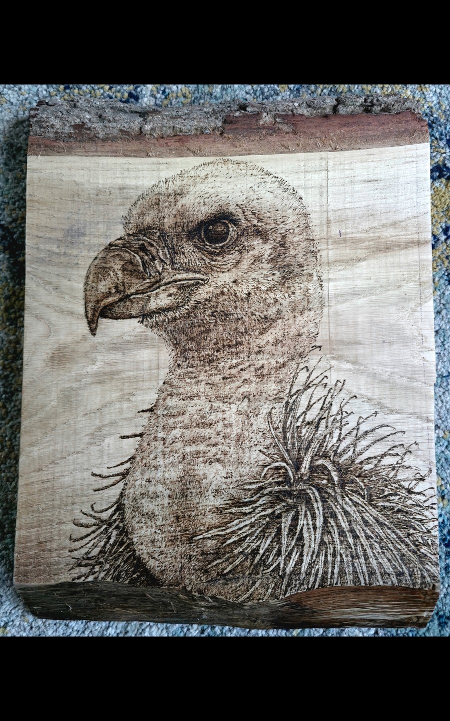 Vulture pyrography 