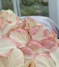 Peachy pink hydrangea flower stem - Image 7