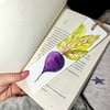 Beetroot bookmark, hand painted watercolour art