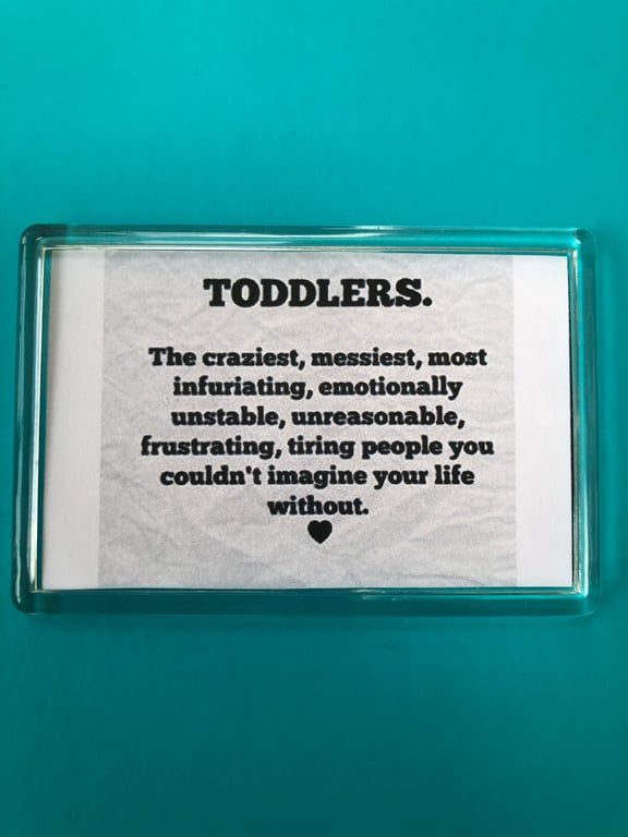 Toddlers Are Infuriating Funny Decorative Fridge Magnet