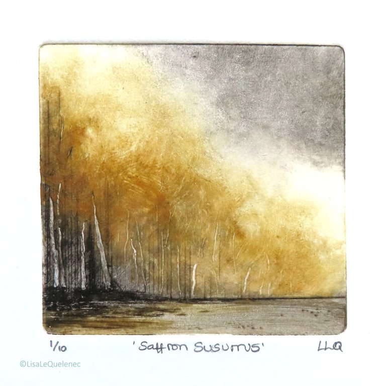 Autumn trees Saffron Susurrus no.1 limited edition of 10 dry point mini print