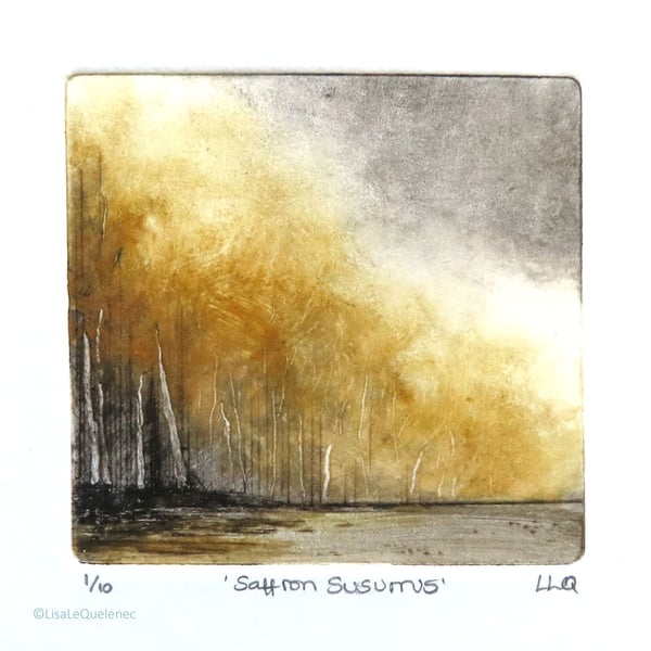 Autumn trees Saffron Susurrus no.1 limited edition of 10 dry point mini print