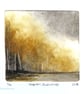 Autumn trees Saffron Susurrus no.1 limited edition of 10 dry point mini print
