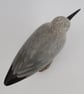 Dunlin on driftwood - Image 3