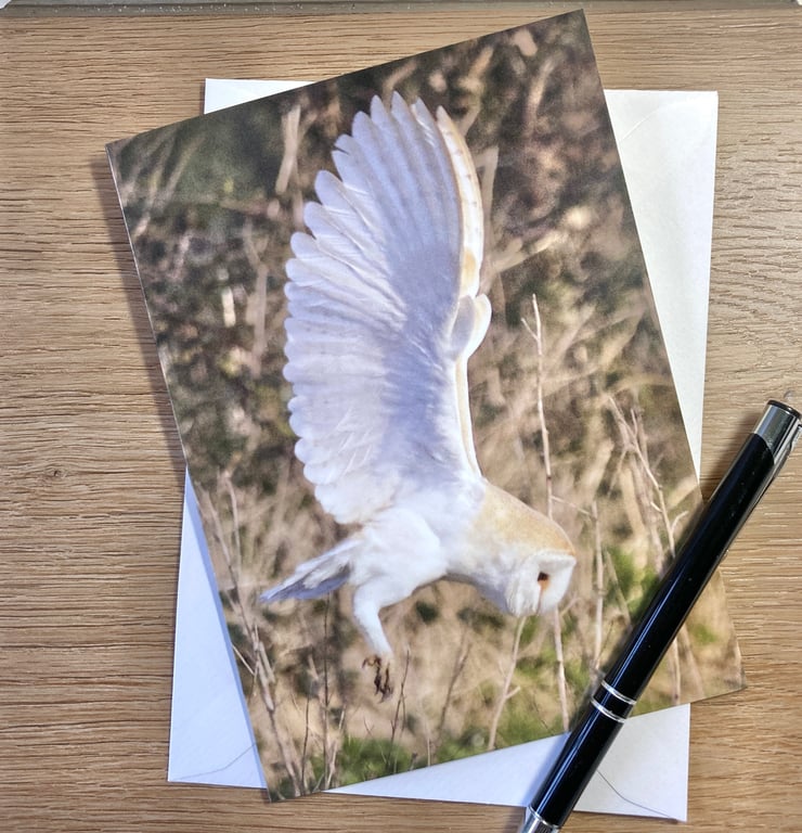Card Barn Owl Hunting 
