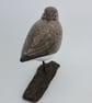 Sleepy dunlin - Image 5