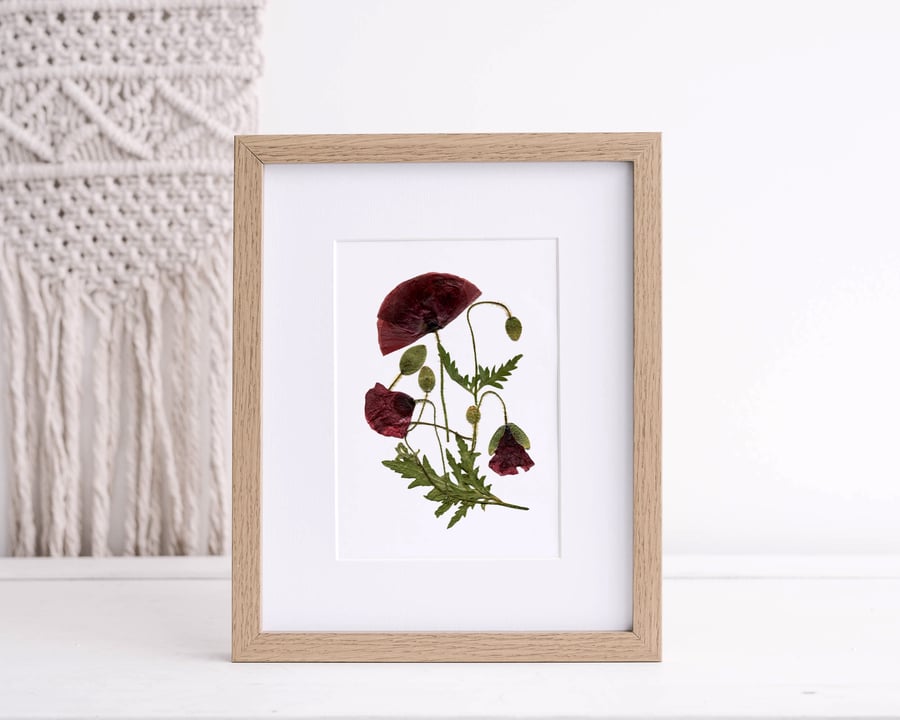 Giclee Art Print A5, Pressed Dried Flower art, Red Poppies,