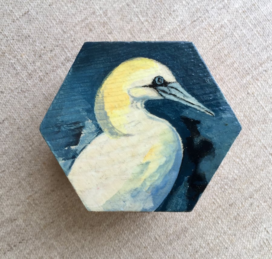 Gannet box