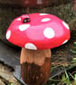 Ladybird on Red Toadstool - Image 5