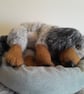 Dachshund Puppy, Dotpebblesknits Design - Image 2