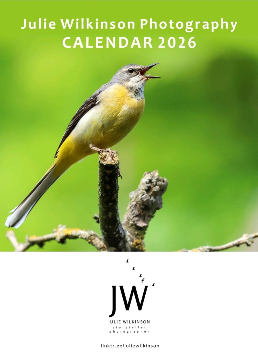 2026 Wildlife Photography Calendar - A3