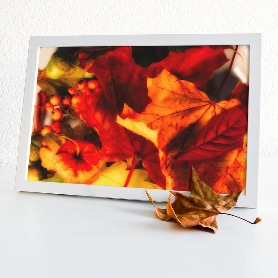 Autumn Display - Print in A4 or A3 Mount (1 of 2)