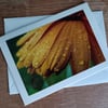 Yellow Flower after the Rain Large Photographic Card 7" x 5" Blank