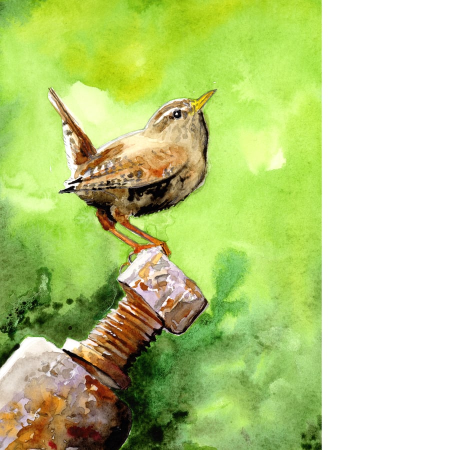 Wren. Original watercolour painting, signed by the artist.