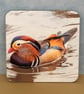 Mandarin Duck Coaster