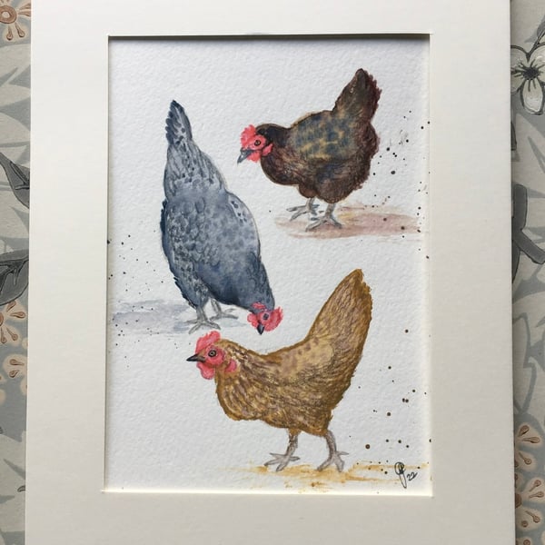 3 Hens original watercolour painting