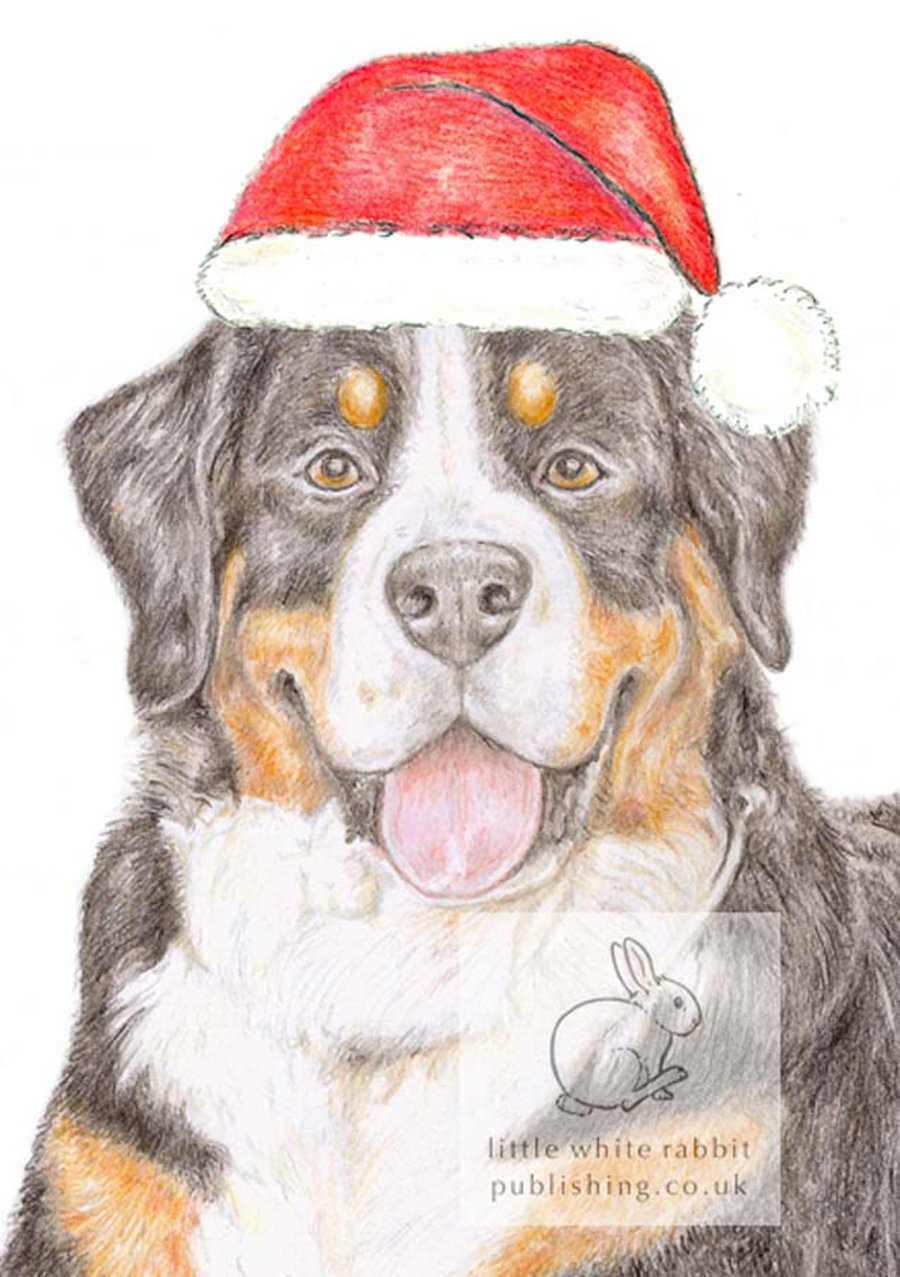 Loki the Bernese Mountain Dog - Christmas Hat Card
