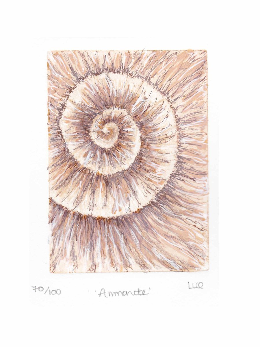 Etching no.70 of an ammonite fossil with mixed media in an edition of 100
