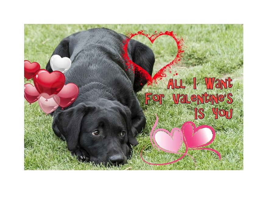 Valentine's Day Card Labrador All I Want A5