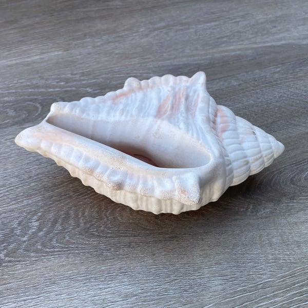  Conch shell made in .white cement blend with terracotta highlights