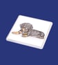 Henry the Dachshund - Coaster - Image 1