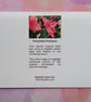 Poinsettia Profusion Christmas Card - Image 4