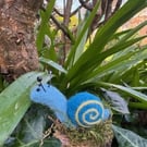 Colour Snail mounted on a wood slice