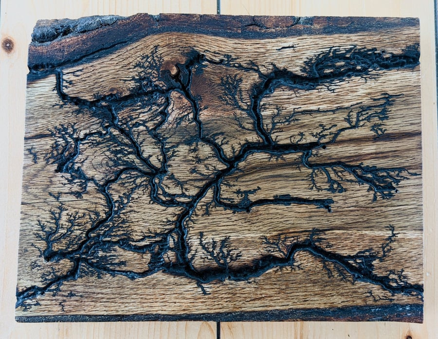 Lichtenberg, fractal Wood Burning Art, Oak, Man Cave Gift