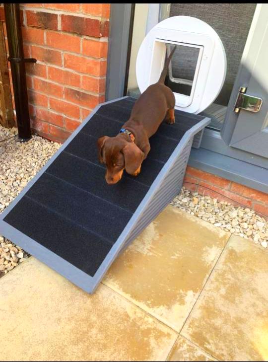 Dog Pet Ramp Custom Built Size for Door Flap