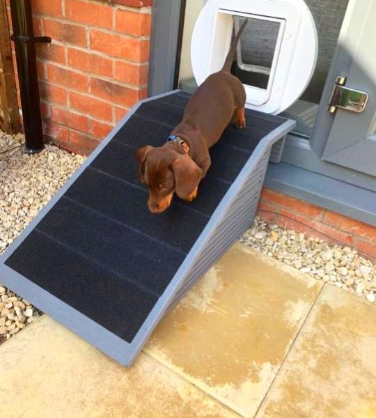 Dog Pet Ramp Custom Built Size for Door Flap
