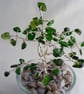 Chrome Diopside Gemstone Tree. - Image 3