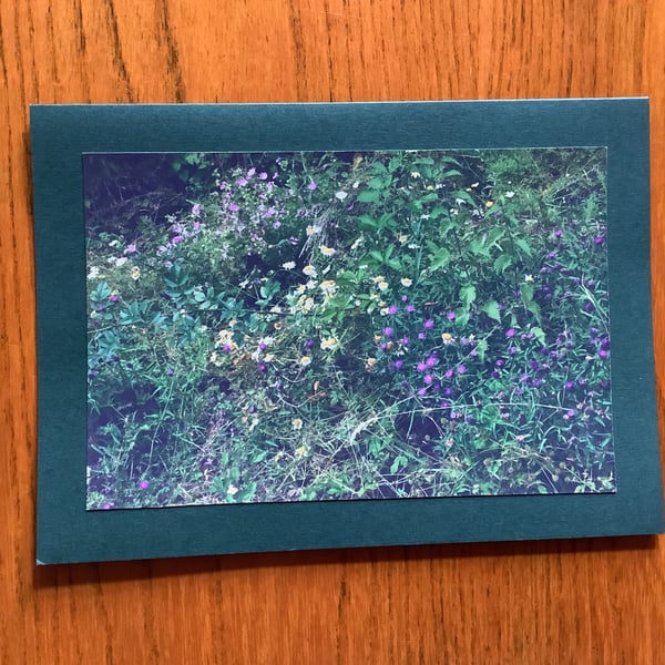 Handmade photo card of Wild flowers at Brinkburn Priory