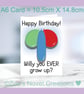 Rude Balloons Birthday Card - Willy A6 10.5cm x 14.8cm - Image 1