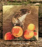 Harvest Mouse - Image 1