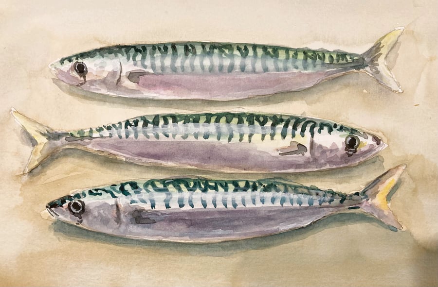 Three Mackerel